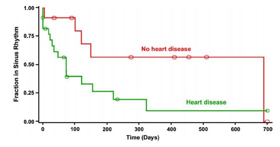 Graph displaying the distribution of duration of sinus rhythm after cardioversion for dogs with lone atrial fibrillation (n = 11) and for dogs with atrial fibrillation due to underlying heart disease 
