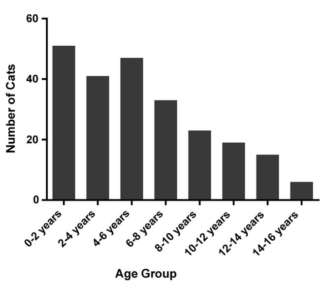 Histogram showing the distribution of age at last contact for Ragdolls reported in the questionnaire