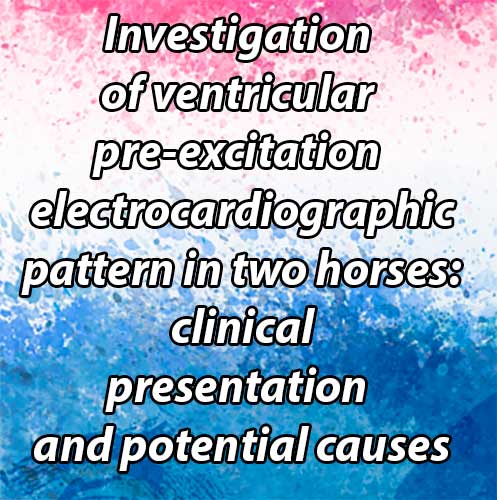 Investigation of ventricular pre-excitation electrocardiographic pattern in two horses: clinicalpresentation and potential causes