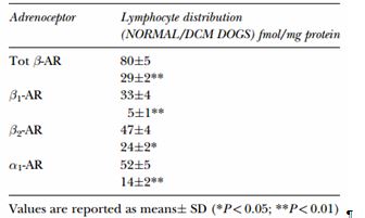 Lymphocyte distribution of adrenoreceptor subtypes in normal and dilated cardiomyopathy dogs