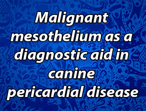 Malignant mesothelium as a diagnostic aid in canine pericardial disease
