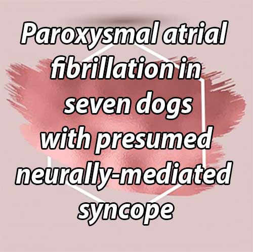 Paroxysmal atrial fibrillation in seven dogs with presumed neurally-mediated syncope