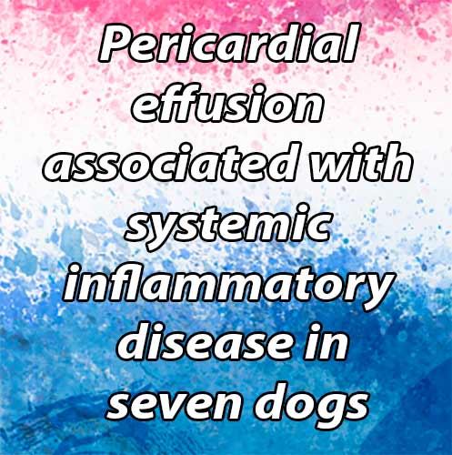 Pericardial effusion associated with systemic inflammatory disease in seven dogs (January 2006 - January 2012)