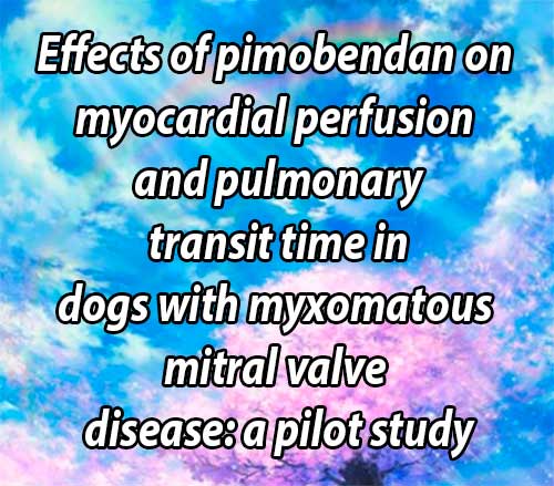 Effects of pimobendan on myocardial perfusion and pulmonary transit time in dogs with myxomatous mitral valve disease: a pilot study
