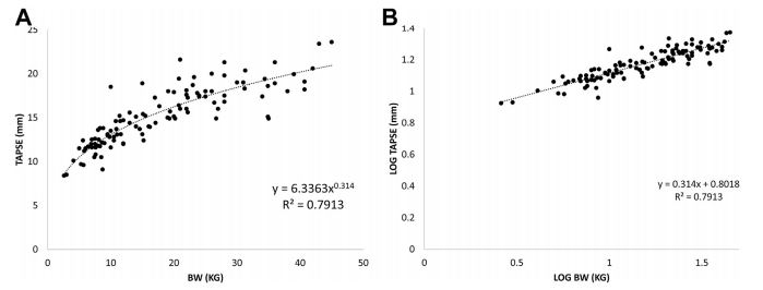 Relationship of TAPSE and bodyweight scales allometrically in dogs
