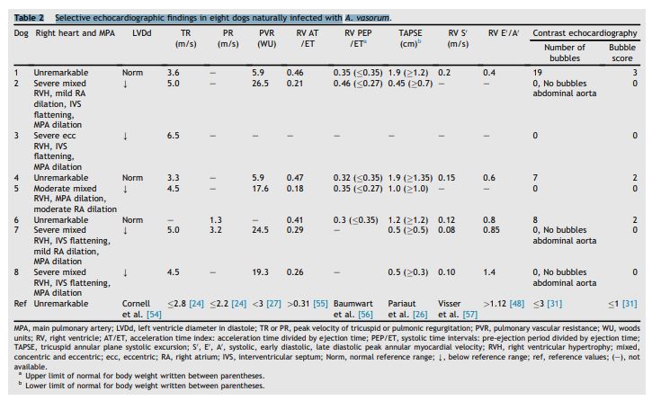 Selective echocardiographic findings in eight dogs naturally infected with A. vasorum