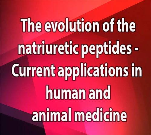 The evolution of the natriuretic peptides - Current applications in human and animal medicine