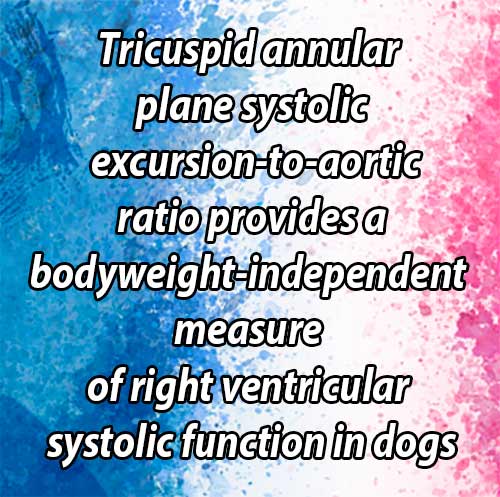 Tricuspid annular plane systolic excursion-to-aortic ratio provides a bodyweight-independent measure of right ventricular systolic function in dogs