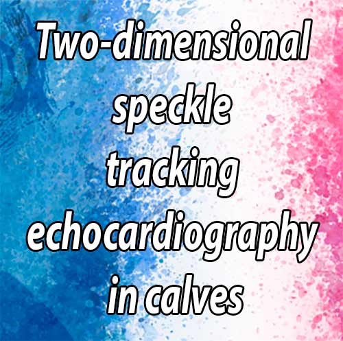 Two-dimensional speckle tracking echocardiography in calves: feasibility and repeatability study